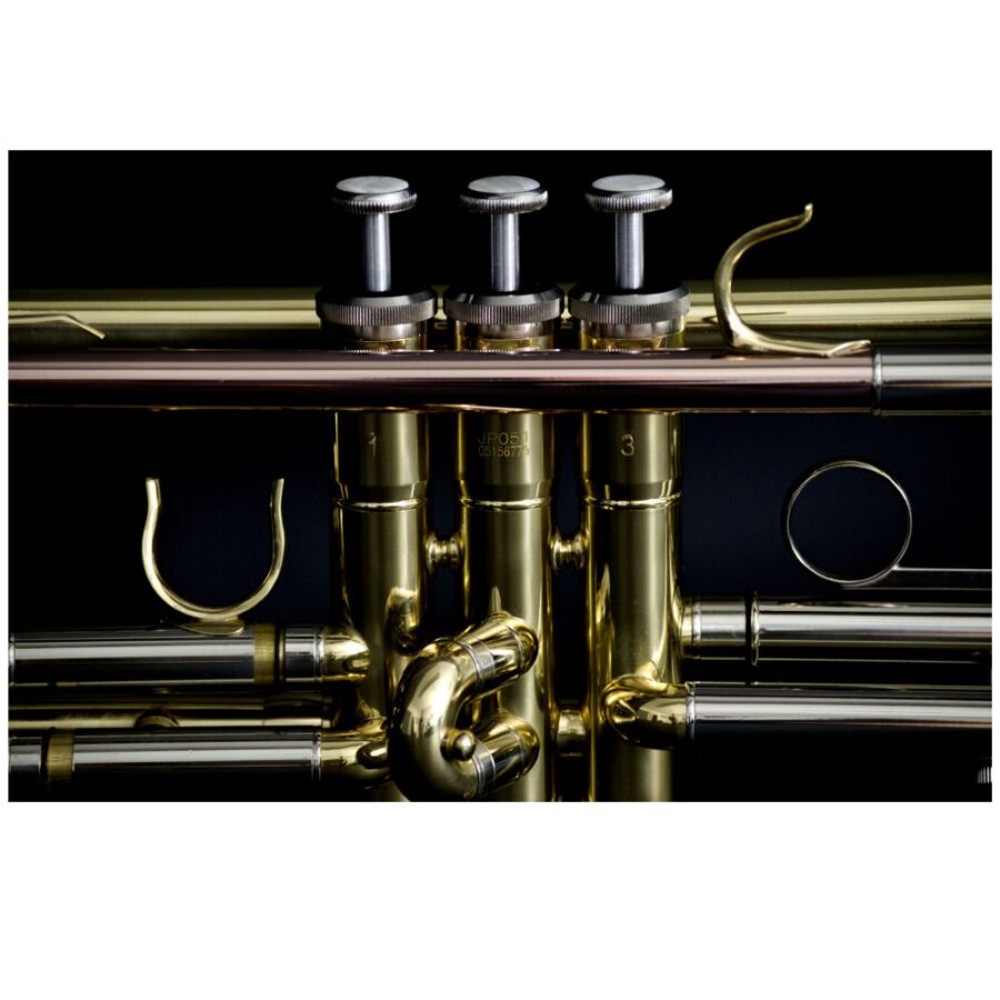 Trompeta Jhon Packer - JP051-3