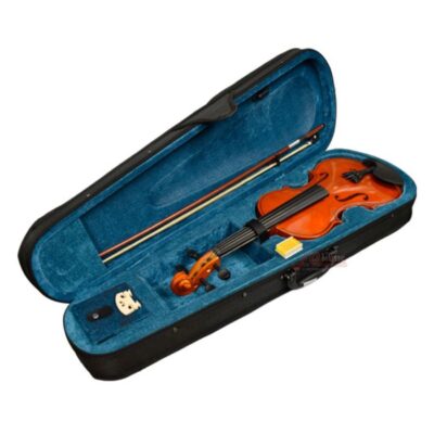 Violin Omega 4/4