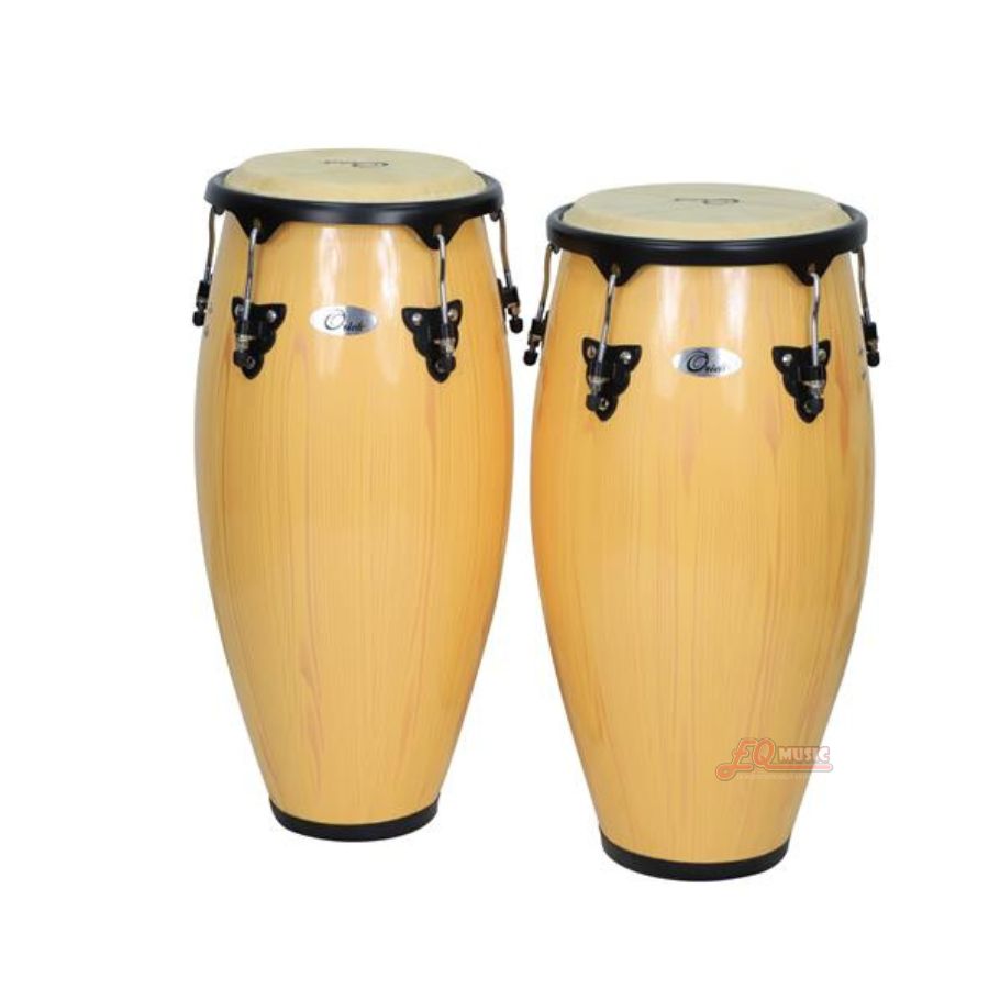 CONGAS 2
