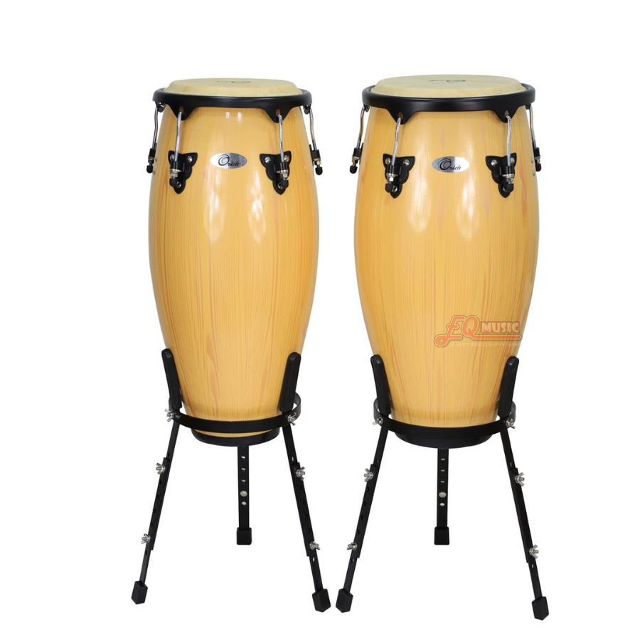 CONGAS 1