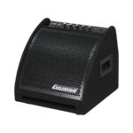 Amplificador para batería 1