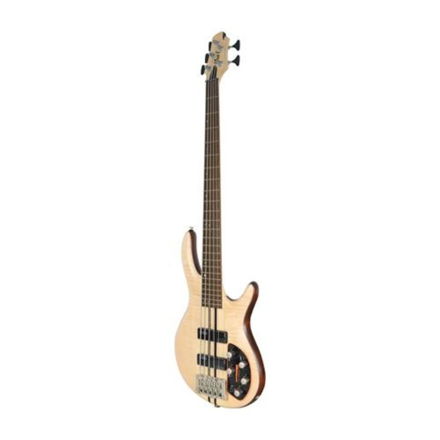 Bajo cort 2