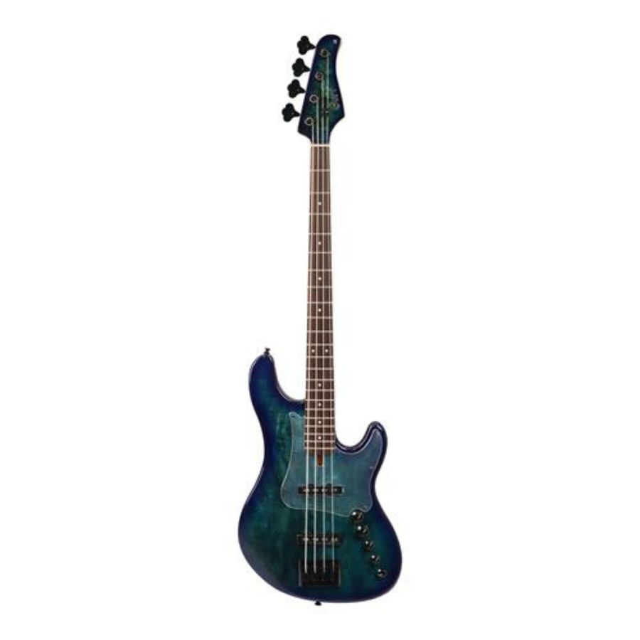 Bajo eléctrico 1