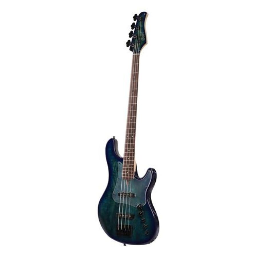 Bajo eléctrico 2