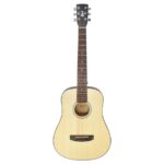 Guitarra cort 1