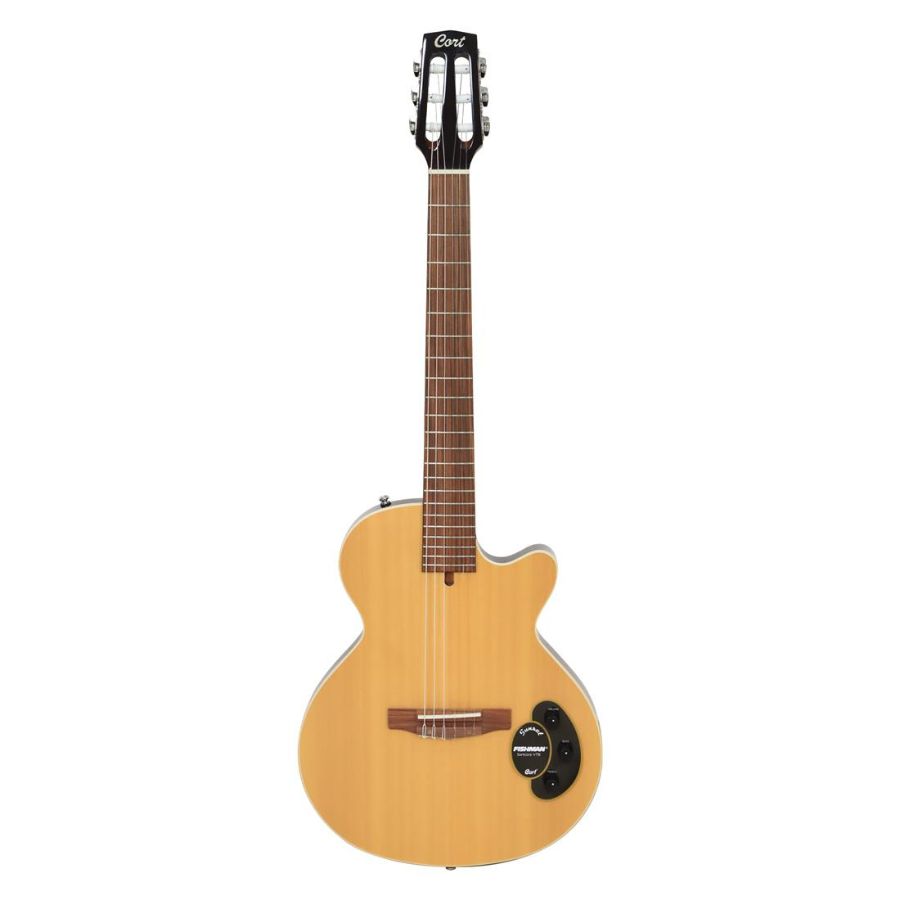 Guitarra eléctrica 1