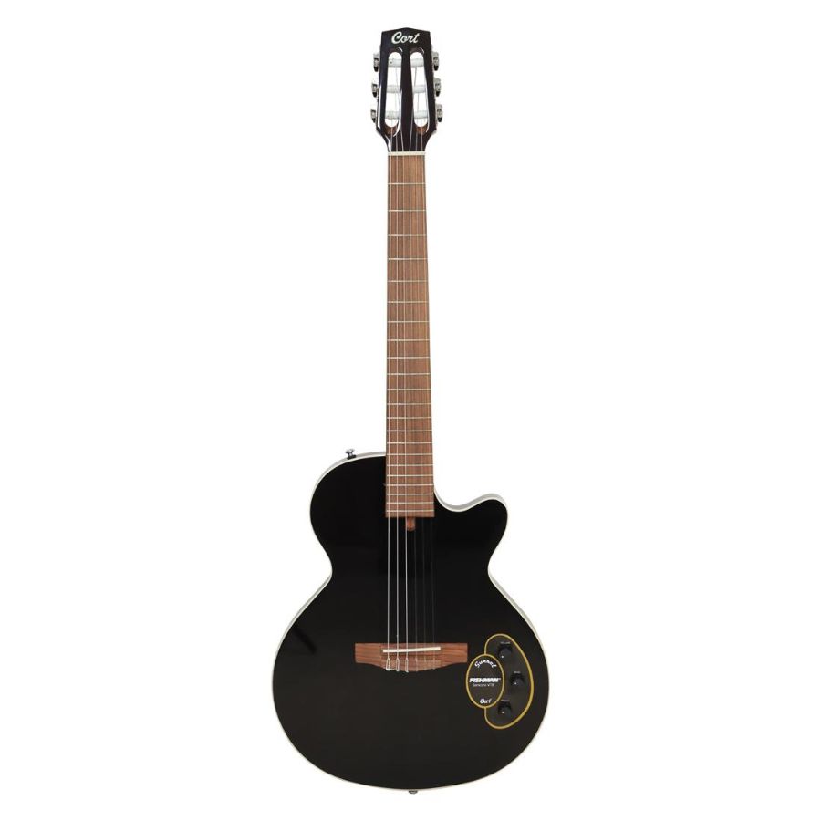 Guitarra eléctrica 2