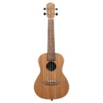 Ukulele concierto zebrano 1