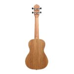Ukulele concierto zebrano 3