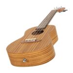 Ukulele concierto zebrano 4