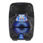 Caja amplificada portatil 1
