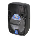Caja amplificada portatil 2