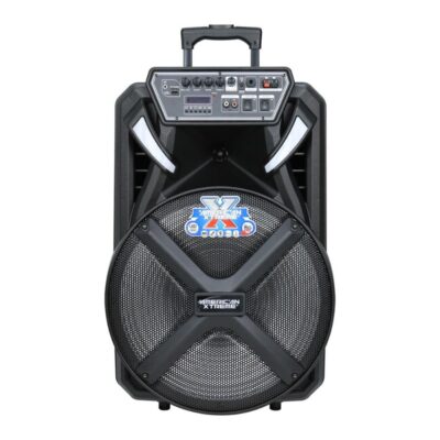 Caja amplificada portatil f 1