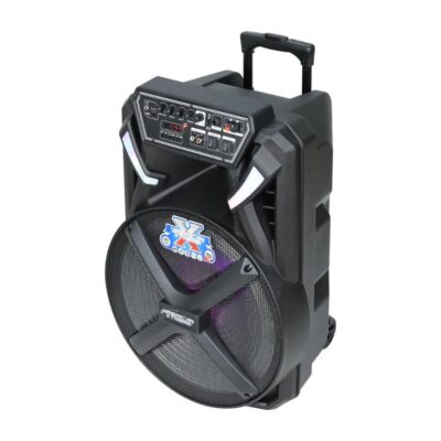 Caja amplificada portatil f 2