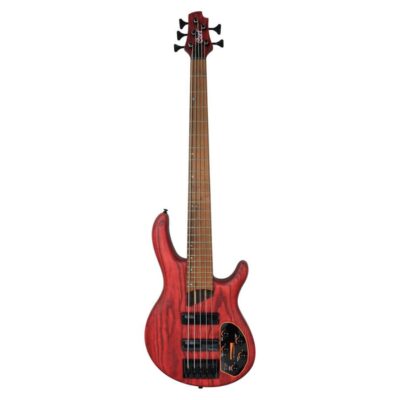 Bajo artisan cort 2