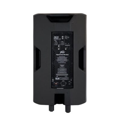 CAJA ACTIVA PEAVEY 2