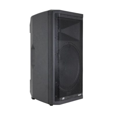 CAJA ACTIVA PEAVEY 1