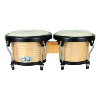 Bongo abedul 2