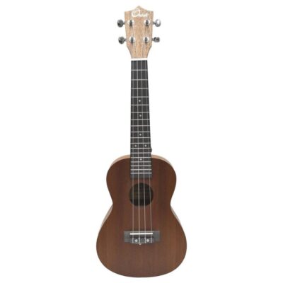 Ukulele plywood m 1
